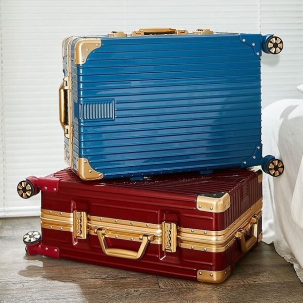 deluxe-suitcase-image-3