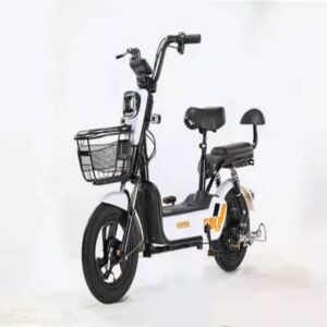 electric-bike-image-1