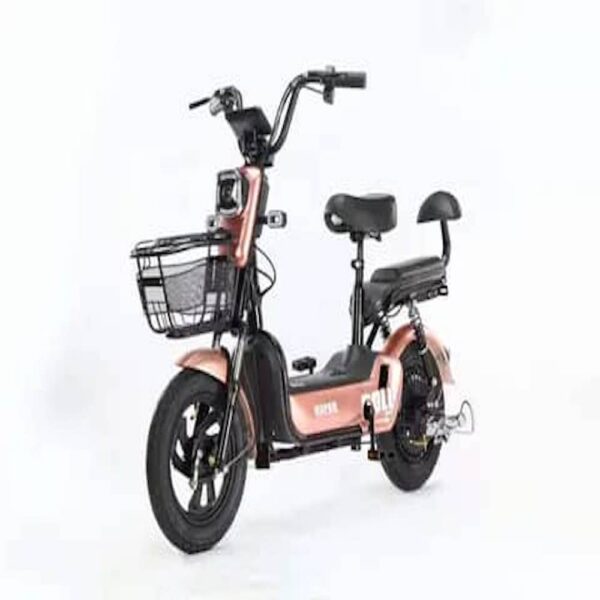 electric-bike-image-2