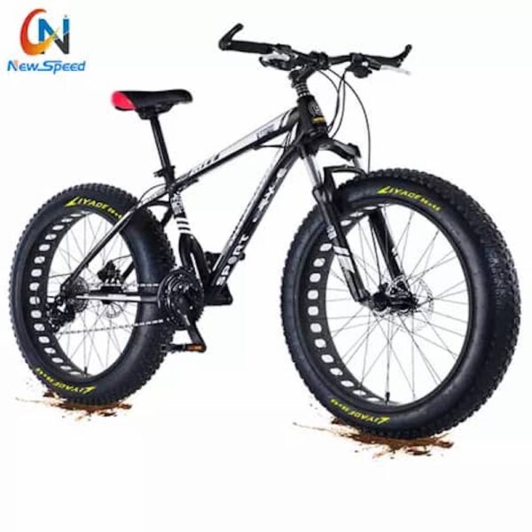 fat-tyre-bike-image-1