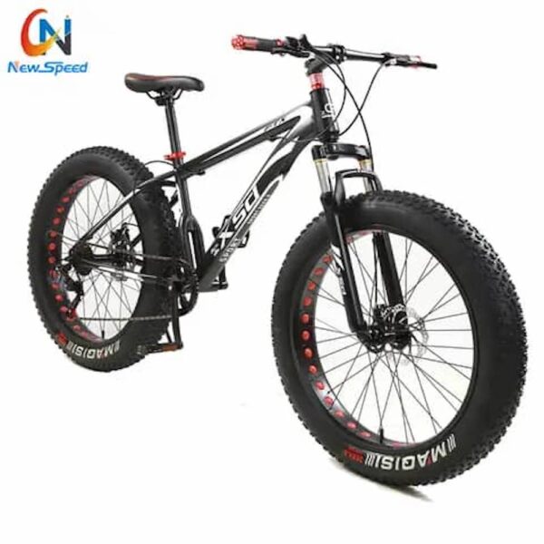 fat-tyre-bike-image-2