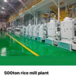 rice-plant-image-1