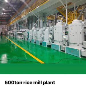 rice-plant-image-1