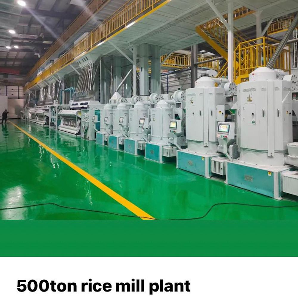 rice-plant-image-1